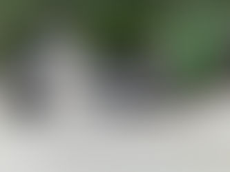 Pavimenta Gobierno Municipal calles de la colonia Martín López