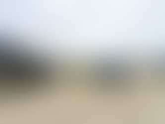 Operativo en Bocoyna Foto (sspe)