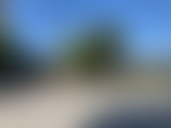 Lunes soleado con intervalos nubosos y máxima de 38°C