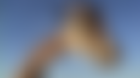 Muere Jirafa del Parque Central en Ciudad Juárez