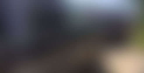 Reportan asalto a negocio menonita en Cuauhtémoc