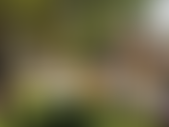 創造、藝術、和諧、審美