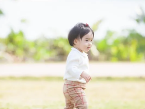 幼教環境的「東西」之道(一)