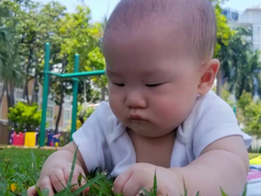 幼教環境的「東西」之道(二)