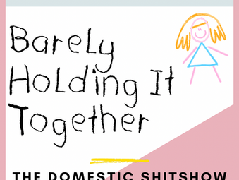 The Domestic Shitstorm