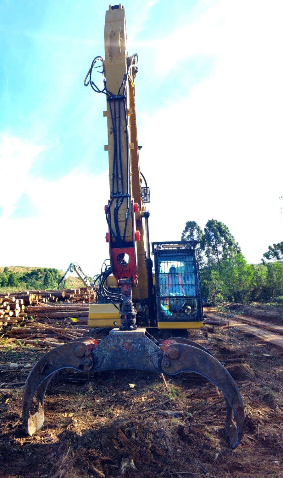 Miniatura: ESCAVADEIRA HIDRÁULICA CATERPILLAR 320, Ano 2022 - com GARRA FLORESTAL