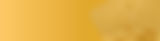 Banner Insight Lunelli 03-100.jpg