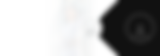 Banner Insight Lunelli 01.png