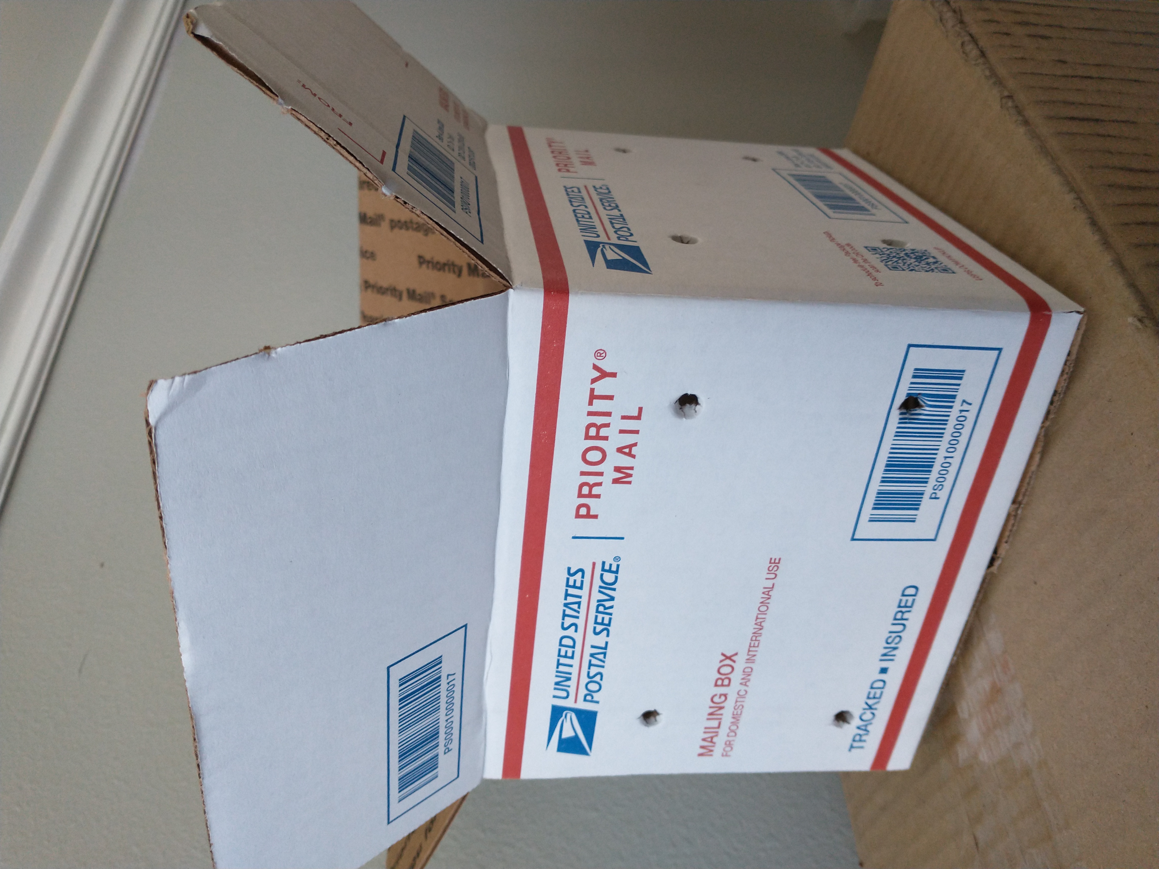 What to Do When Your Worms Arrive in the Mail content media