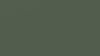 dark green background.jpg