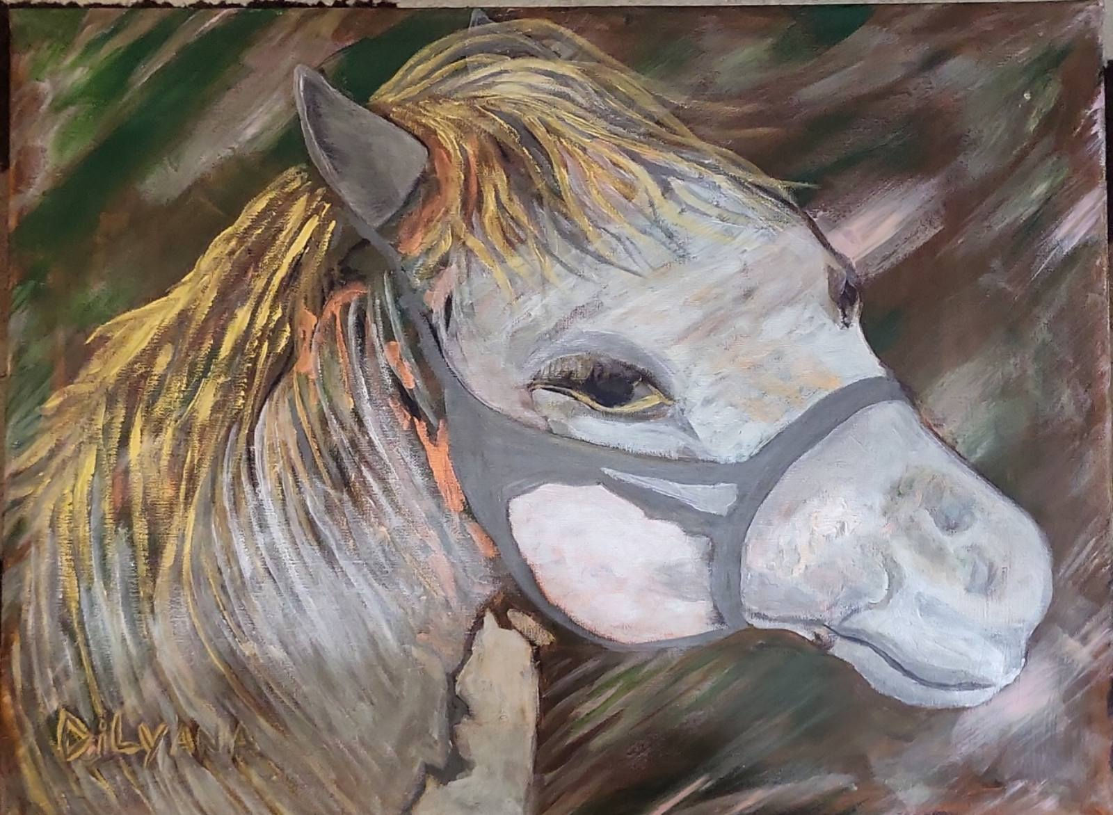 Freedom wish 50/60 acrilyc original-unique