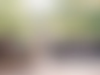 Multi-Cultural at the Historical