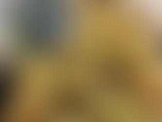 Postcards From Cooking Lessons in Bordeaux