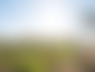 Natural, Naked & Wild...