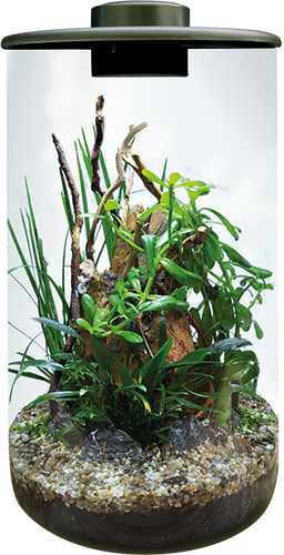 Bioart Cylinder Byrkley Aquatics