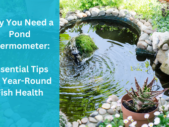 Pond Thermometers