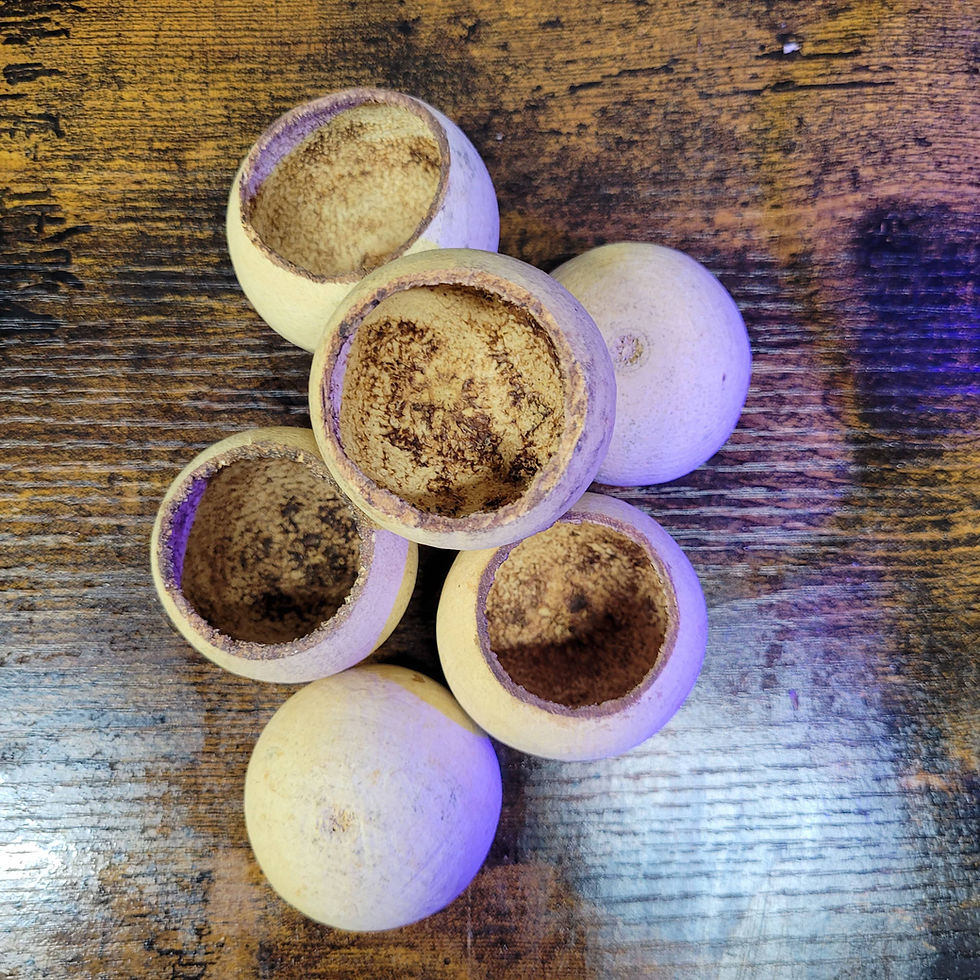 Aquarium Botanicals: A Comprehensive Guide to Safe Preparation and Use