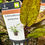 Thumbnail: Echinodorus Purpurea Aquarium Plant, potted