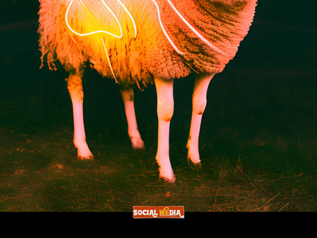 The Parable of the Lost Sheep