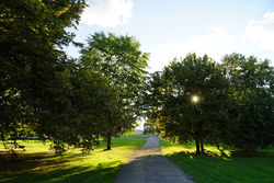 IMG_20170824_123253_873