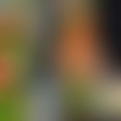 COMMUNICATION GLOBALE | FOOD IN SUD