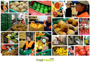 PHOTOS & VIDÉO | TOTAL PRODUCE INDIGO