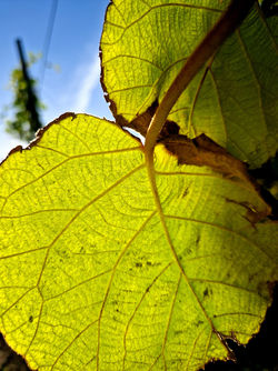 dominique-milherou-garig-restauration-collective-circuits-courts-aix-en-provence-2