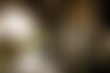 COMMUNICATION DIGITALE | EXCLUSIF VOYAGES