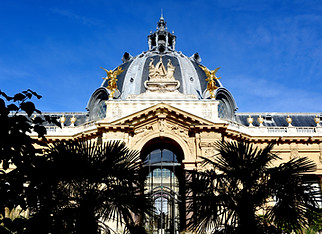 JARDIN-PETIT-PALAIS-2009 003.jpg