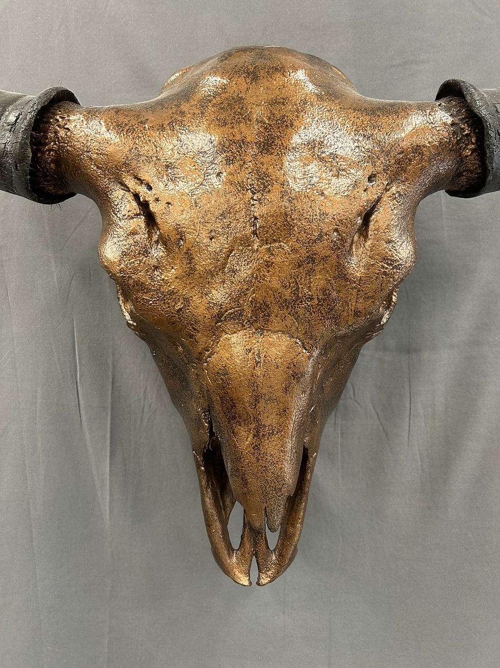 Thumbnail: Bronzed Buffalo