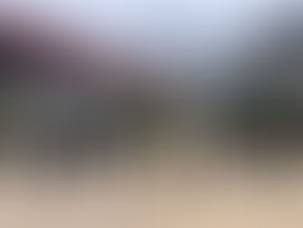 Visita anual del Comando y Plana Mayor del Grupo Honorífico "Panupali" a las unidades del Arma de Caballería Blindada