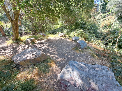 call of the wild camp saturday outdoor nature camp nature walks for kids rocks by creek tr
