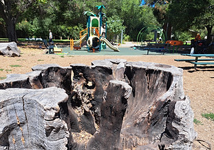 call of the wild camp saturday outdoor nature camp dimond park playground 1 and hollow stu