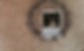 Workshophoch.jpg