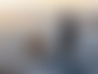 Of Puppies and Toddlers... a Family Beach Photo Shoot