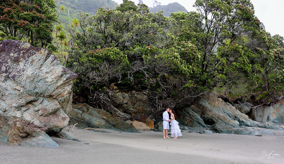 They asked for photos with pōhutukawa trees to show overseas family something unique to NZ.