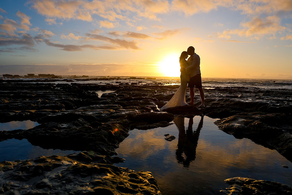 Elope West Coast NZ