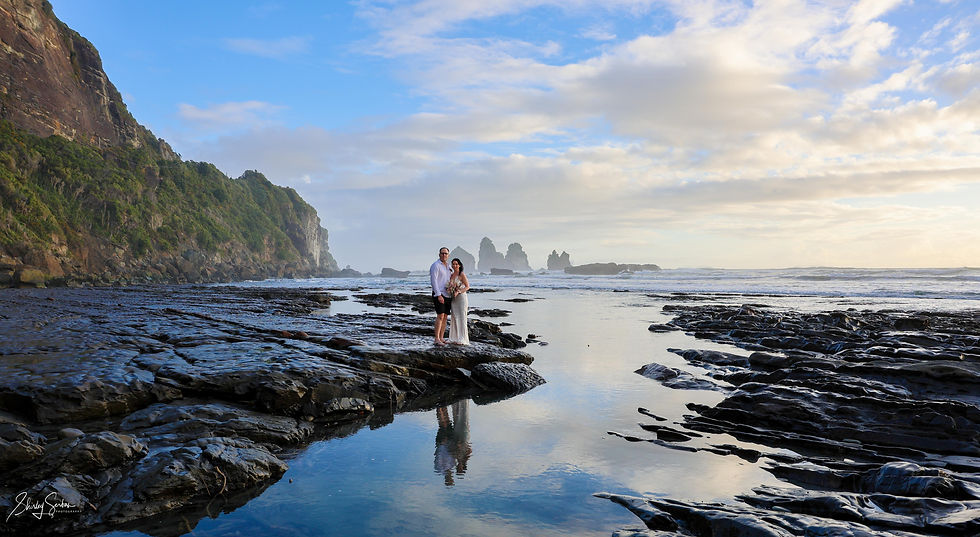 Elope West Coast NZ