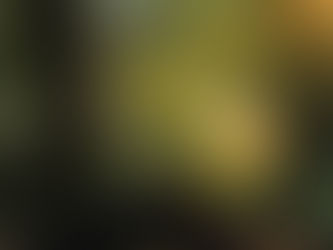 4 Unexpected Truths About Personal Growth