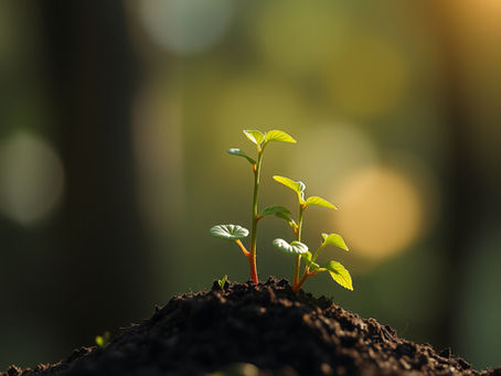 4 Unexpected Truths About Personal Growth