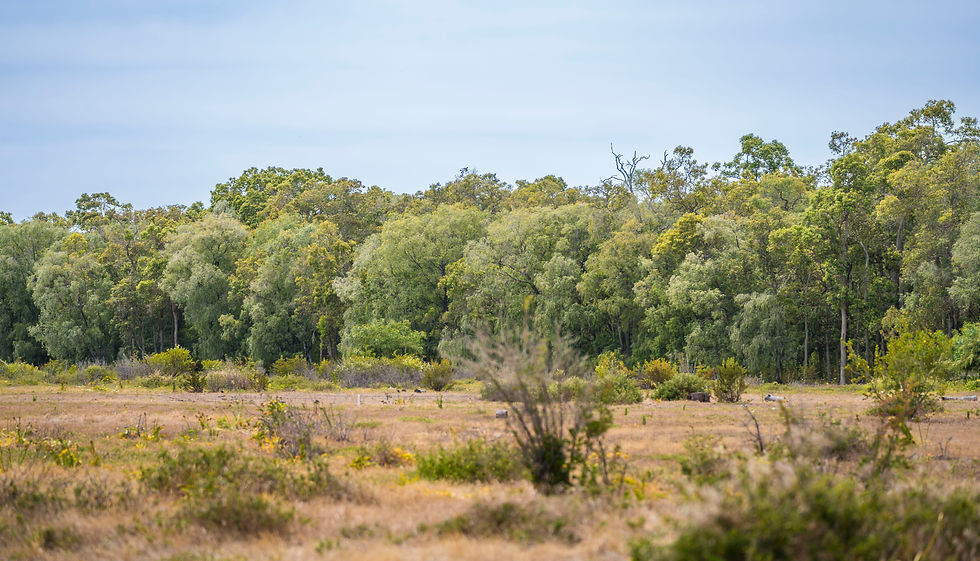 Willow Grove Busselton Land now for sale in the South West