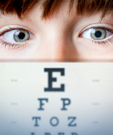 Piezas feed Madeleine SM (10).png