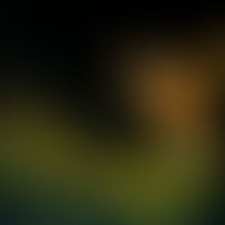 Yaratılış Masalı