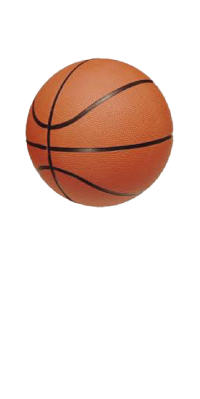 Basket-1-1