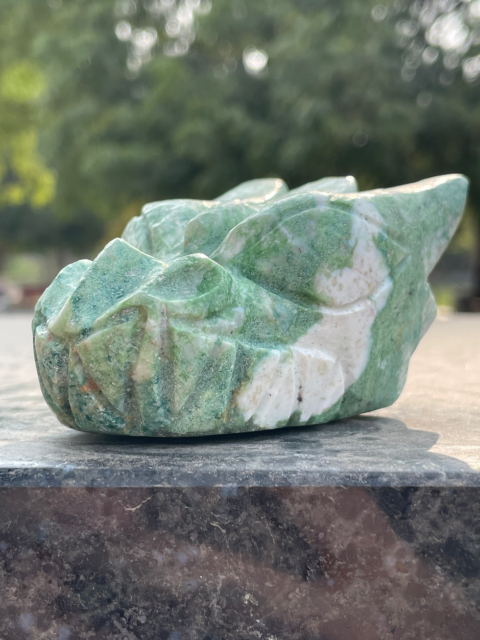 الصورة المصغرة: Australian Green Opal Dragon 