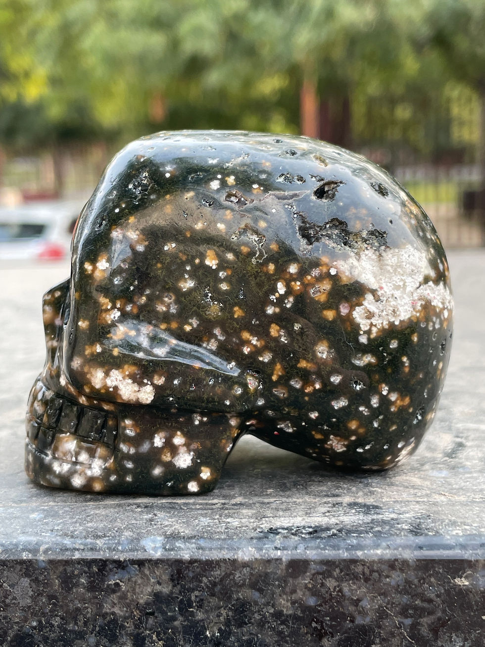 Miniatura: Ocean Jasper Skull 