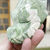 Miniaturbild: Australian Green Opal Dragon 
