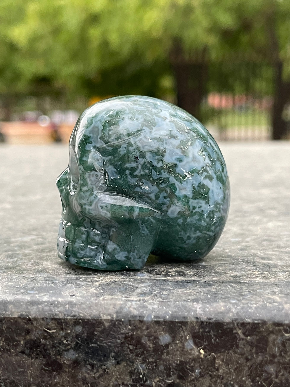 Миниатюра: Moss Agate Skull