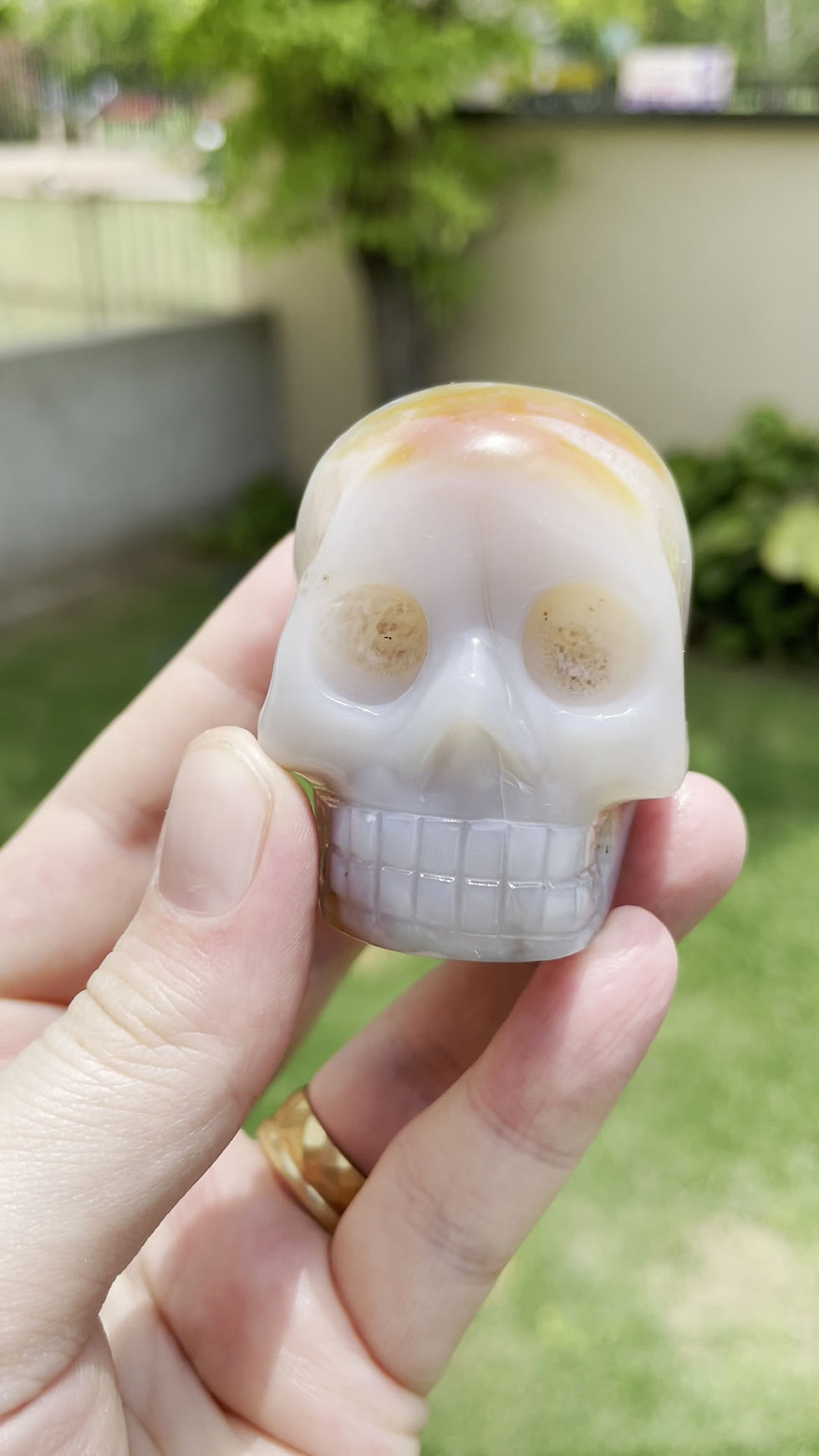 Miniatura: Carnelian Skull