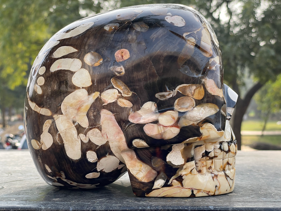 Thumbnail: Peanut Wood Skull 